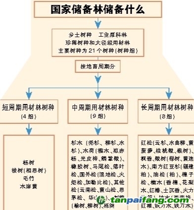 國家儲備林，儲備我們的未來