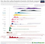 【數(shù)據(jù)】蛋白質(zhì)的碳足跡：什么食品的溫室氣體排放最少？