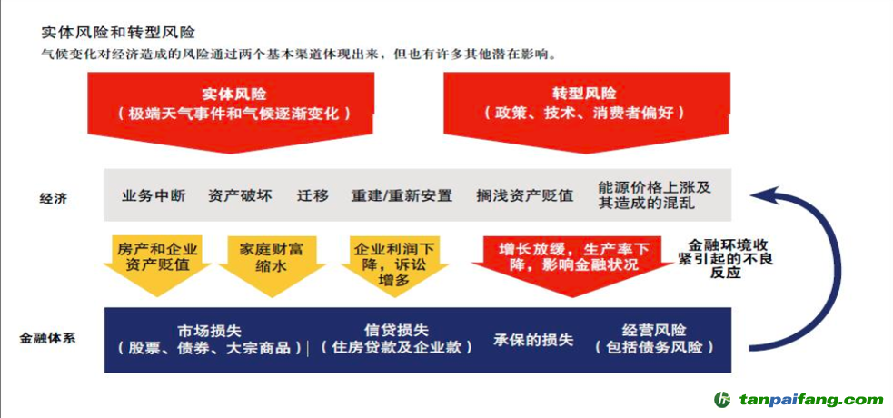 圖3 來源：國際貨幣基金組織（IMF）