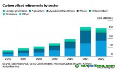 報(bào)告：質(zhì)量擔(dān)憂(yōu)加劇 碳抵消市場(chǎng)面臨分裂