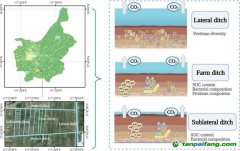 研究揭示影響不同級別農(nóng)田溝渠碳排放的關鍵機制