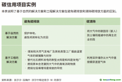 企業(yè)領導者為什么必須了解碳信用額？